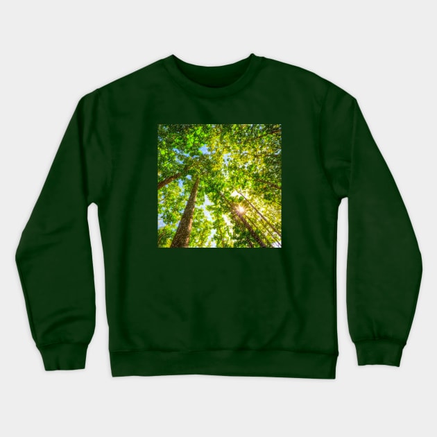 Sun Shining Through A Vibrant Leafy Forest Crewneck Sweatshirt by Earthworx